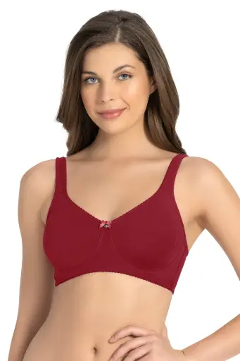  Amante Magic Shaper Non Padded Non Wired Support Bra-Henna
